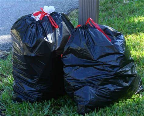 ps in the trash bags gucci do the dishes